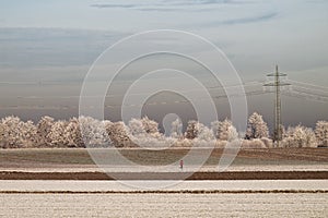 Jogging woman in fields at a cold crispy winters day