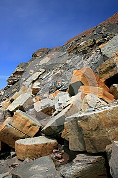 Joggins Fossil Cliffs