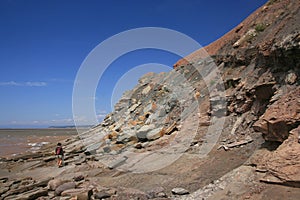 Joggins Fossil Cliffs Nova Scotia