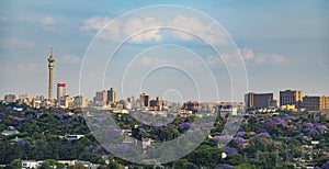 Johannesburg CBD Skyline Jacarandas Bloom