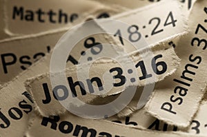 John 3:16 photo