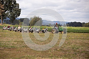 John deer tractor taking kids and adults for a ride