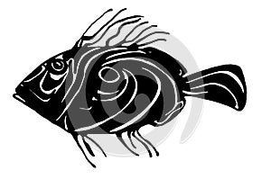 John Dory