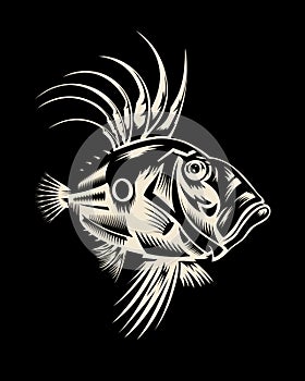 John Dory Vector - fish illustration for logo and T-shirt