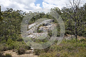 John Forrest National Park rocky landscape