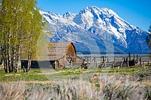 John Moulton Barn in Mormon Row Historic District in Grand Teton National Park, Wyomin