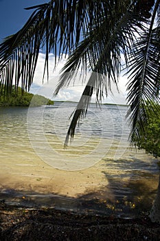 John Pennekamp Coral Reef State Park photo