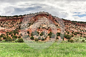 Johnson Canyon Road - Utah