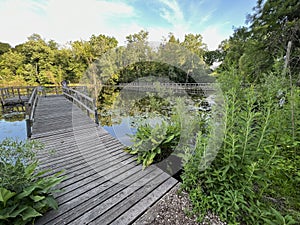 Johnson nature center in Bloomfield Hills Michigan in summer