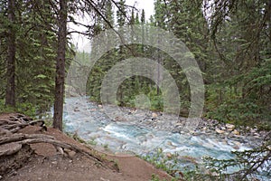 Johnston Canyon, Alberta