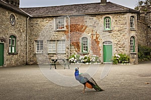 Johnstown Castle. county Wexford. Ireland. photo