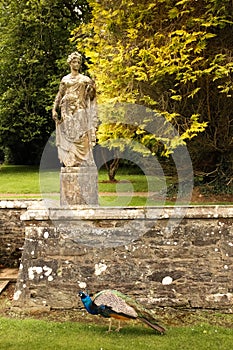 Johnstown Castle. county Wexford. Ireland. photo