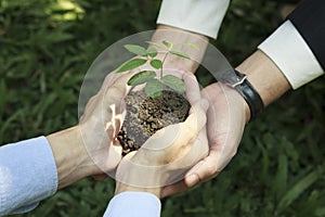 Join forces with government, private sector and people to help plant trees according to the concept of NET ZERO, ESG.