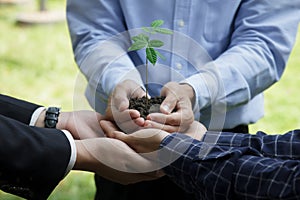 Join forces with government, private sector and people to help plant trees according to the concept of NET ZERO, ESG.