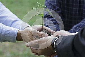 Join forces with government, private sector and people to help plant trees according to the concept of NET ZERO, ESG.