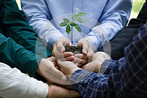 Join forces with government, private sector and people to help plant trees according to the concept of NET ZERO, ESG.