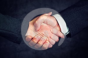 Joint enterprise handshake over business agreement