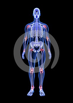 Joint pain. Blue Human Anatomy Body and Skeleton 3D Scan render on black background