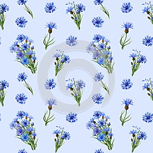 Jointless pattern with Cornflowers bouquettes