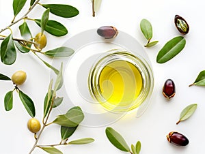 Jojoba plant and jojoba oil in glass jar with seeds on white