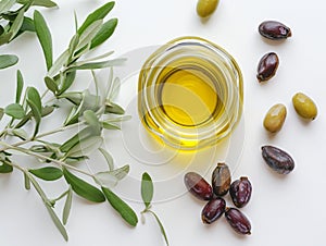 Jojoba plant and jojoba oil in glass jar with seeds on white