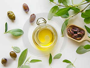 Jojoba plant and jojoba oil in glass jar with seeds on white