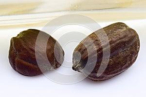 Jojoba seeds (Simmondsia chinensis) photo