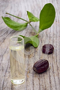 Jojoba (Simmondsia chinensis) leaves, seeds and oil