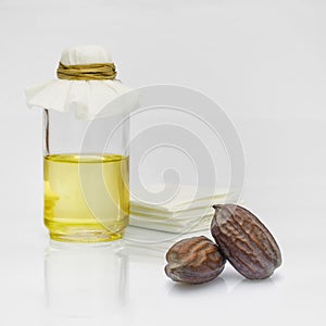 Jojoba Simmondsia chinensis seeds and oil photo