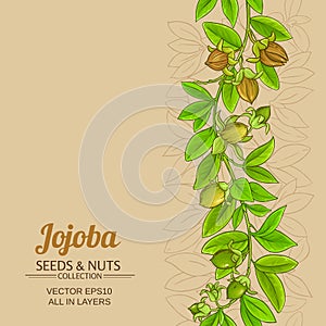 Jojoba vector background