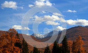 Jokul and forest in autumn