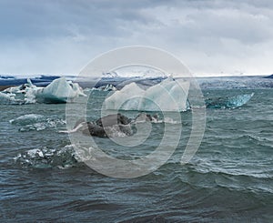 Jokulsarlon glacial lake, lagoon with ice blocks, Iceland. Situated near the edge of the Atlantic Ocean at the head of the