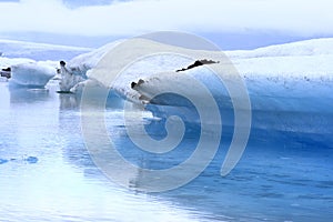 The Jokulsarlon lake