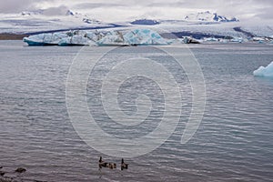 Jokulsarlon lake in Iceland