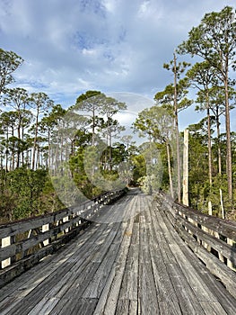 Jolie Island bridge in Miramar Beach, Florida photo