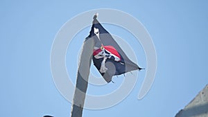 Jolly Roger Pirate flag develops against the blue sky