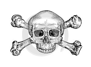 Jolly roger. Hand drawn human skull and crossbones. Sketch vector illustration