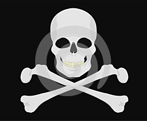 Jolly Roger. Skull with crossbones