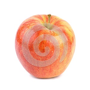 Jonagold Apple (w/path)