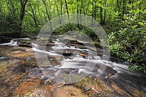 Jonathan Run in the Pennsylvania Wood