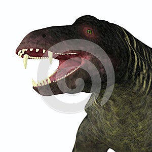 Jonkeria Dinosaur Head