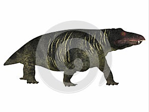 Jonkeria Dinosaur Side Profile