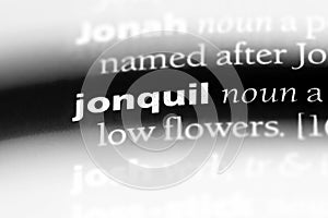 jonquil