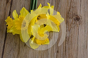 Jonquil flowers