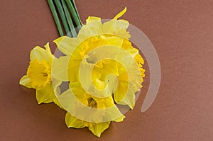 Jonquil flowers