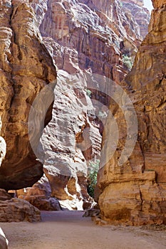 Jordan. Petra. Picturesque Siq Canyon. Narrow winding gorge with steep walls is road to main attraction, ity of Petra.