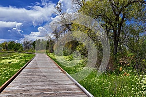 Jordan River Parkway Trail, Redwood Trailhead bordering the Legacy Parkway Trail, panorama views with surrounding trees and silt f