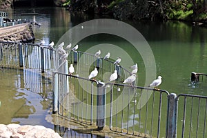 Jordan River in the place where Jesus Christ was baptized.