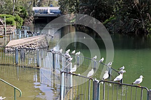 Jordan River in the place where Jesus Christ was baptized.