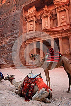 Jordan: Treasury in Petra photo